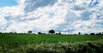 IMG_20200505_192040_145